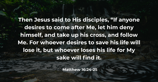 Matthew 16:24-25 image