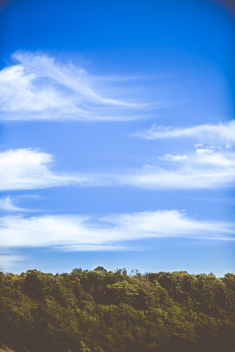 Legacy: Preparing for a Future Not our Own “The Faithfulness of Our Ancestors”