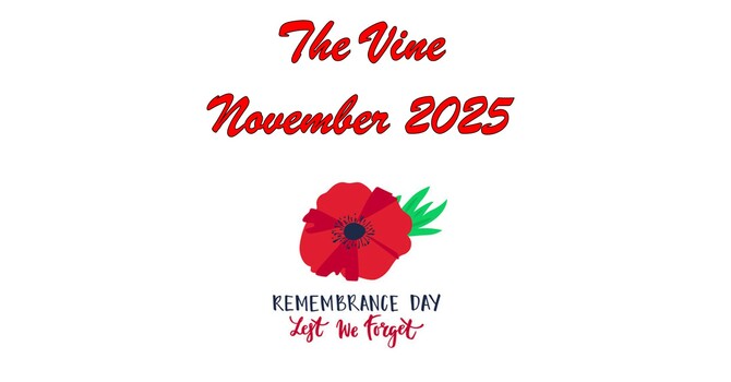 The November 2025 Vine