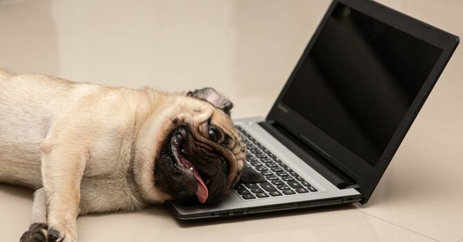 Tired & Muddled image