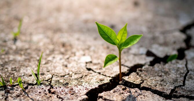 What If < Even If image