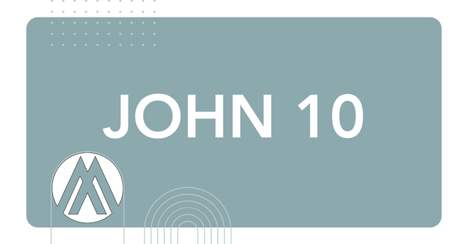 John Chapter 10