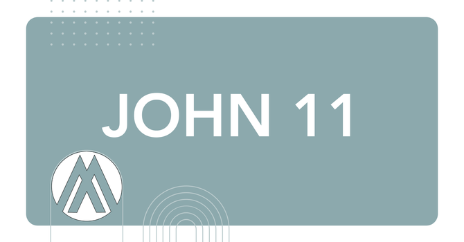 John Chapter 11