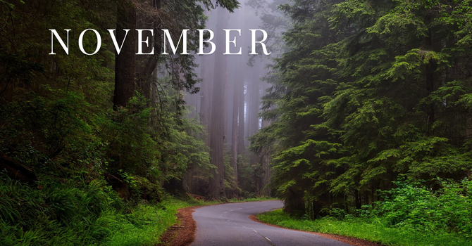 November Volunteer Schedule image