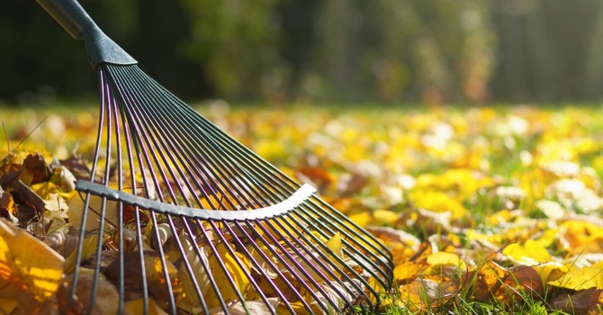 Community Leaf Raking