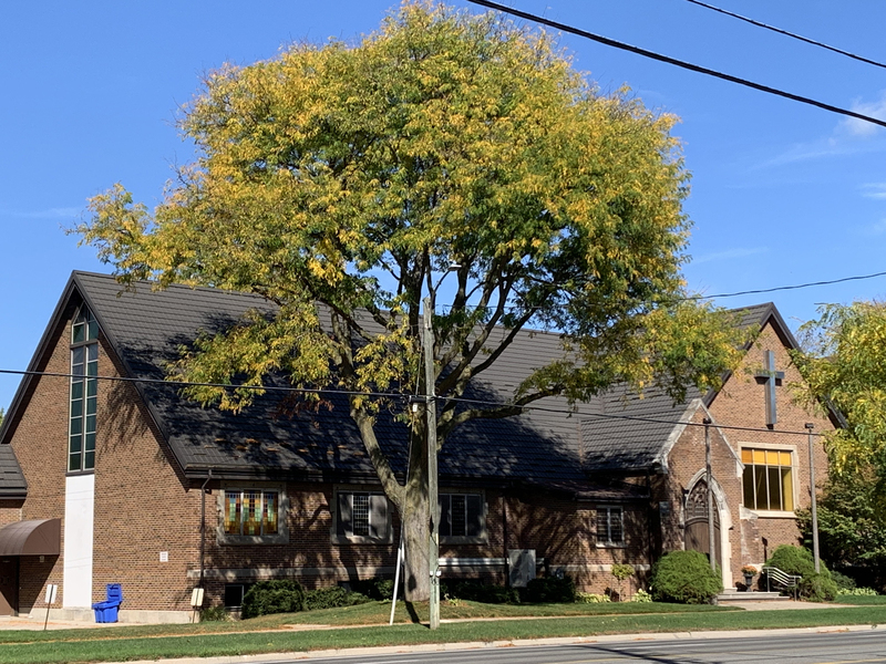 Unexpected Transformation.