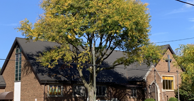 Unexpected Transformation.