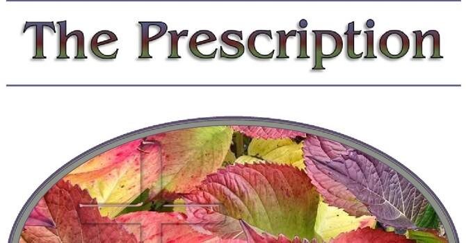 The Fall 2025 Issue of St. Luke's Prescription is Now Available image