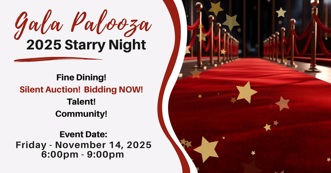 2025 Gala Palooza ~ Starry Night