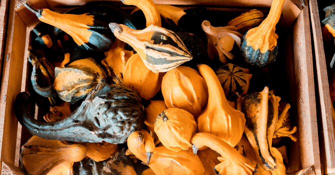 Finding Support image