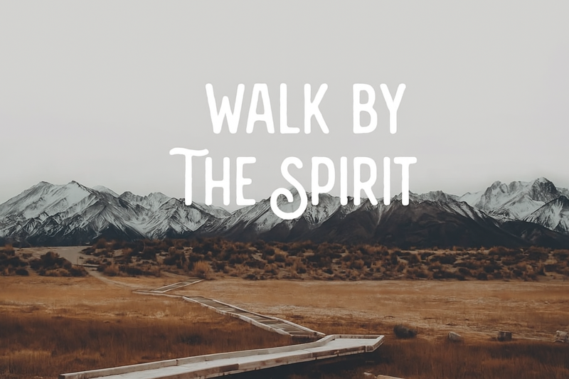 Nourish the Spirit