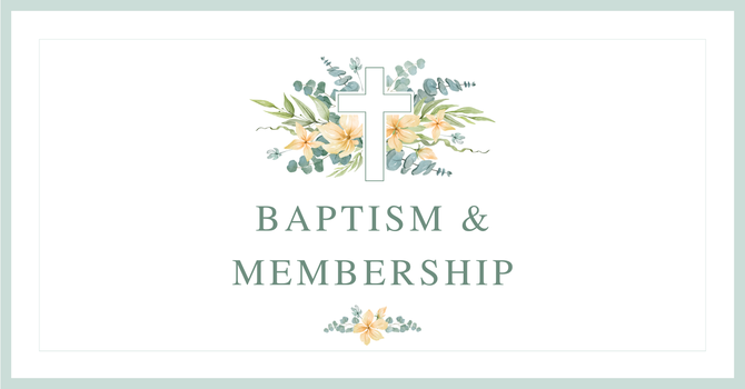 November 2, 2025 Bulletin