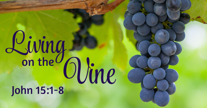 Living on the Vine