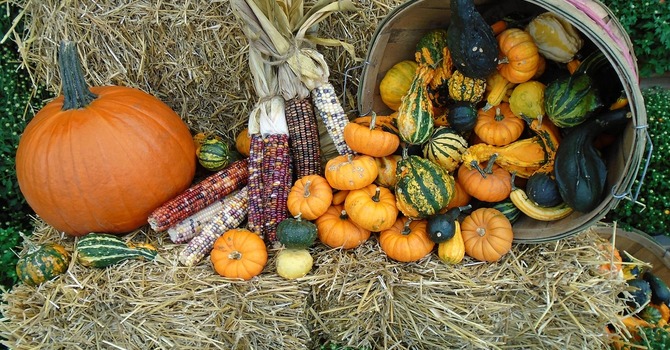 November 3, 2025 Devotion image