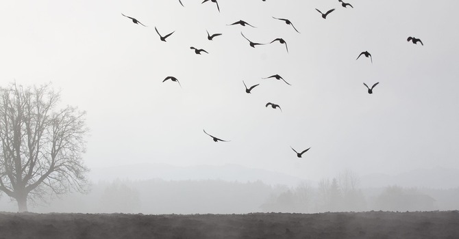 November 4, 2025 Devotion image