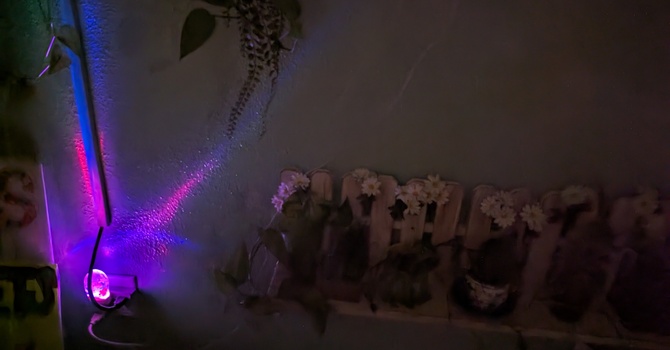 "Can You Take It With You?...maybe"