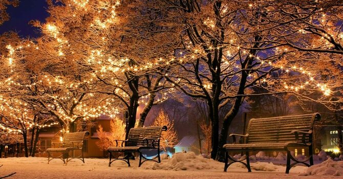 CHRISTMAS LIGHTS OUTING