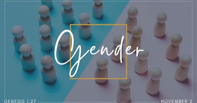 "Gender" November 2, 2025