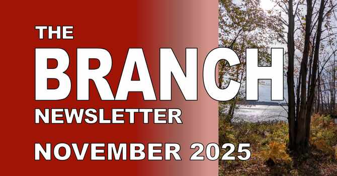 November 2025 Newsletter image