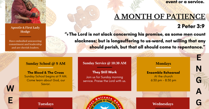 Newsletter November 2025 image