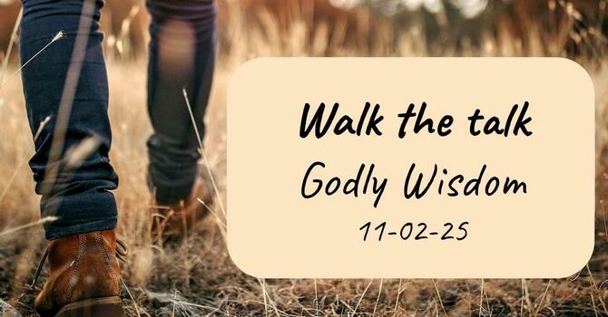 Godly Wisdom