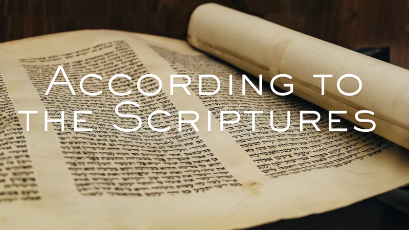 11/2/25 | 1 Corinthians 15 | According to the Scriptures