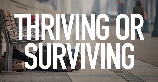 Thriving Or Surviving 