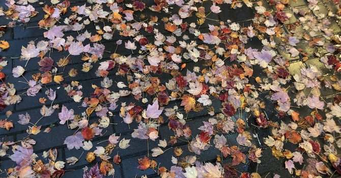 Death and Life image