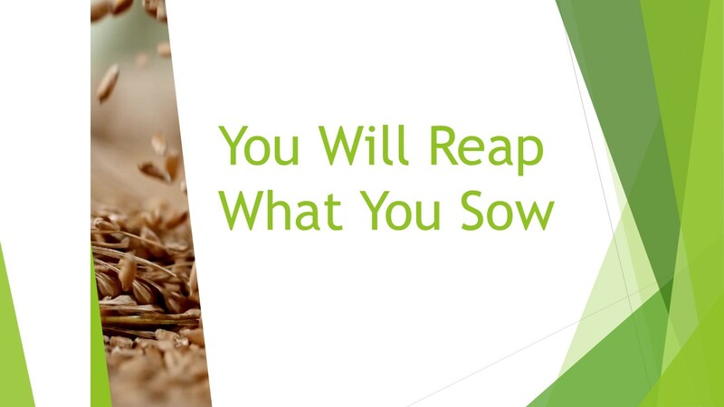 You Will Reap What You Sow
