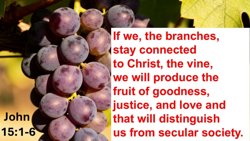 Living as Christians in a secular society through a connection with Christ