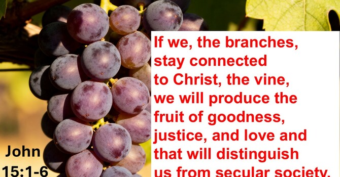 Living as Christians in a secular society through a connection with Christ