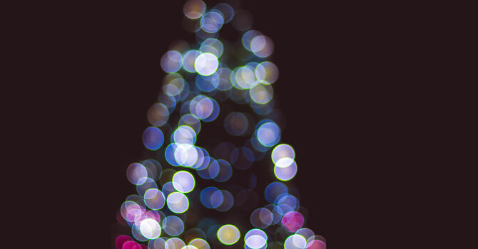 Christmas Tree Lighting