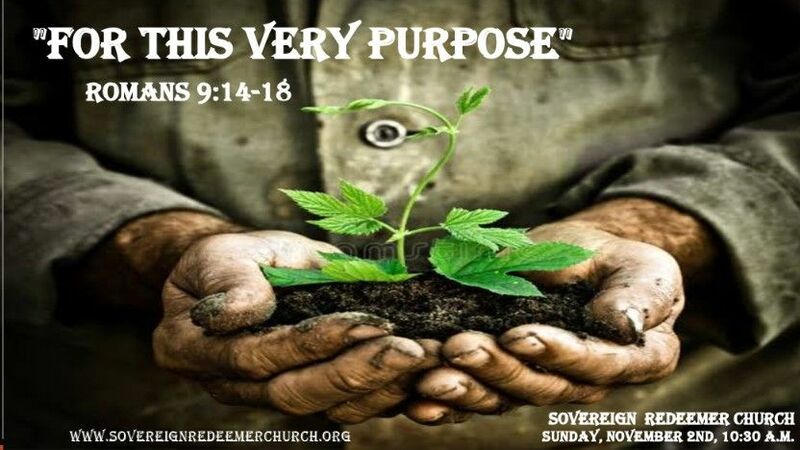 For This Very Purpose