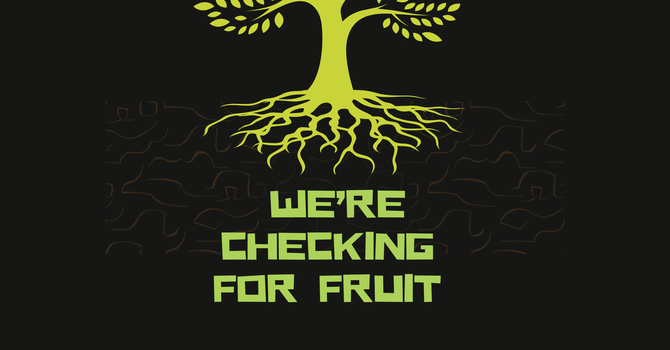 Checking for Fruit image