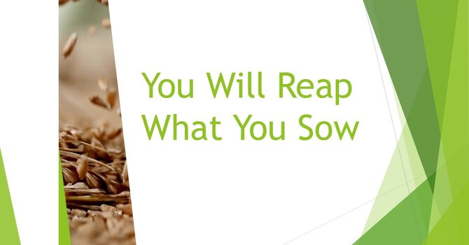 You Will Reap What You Sow