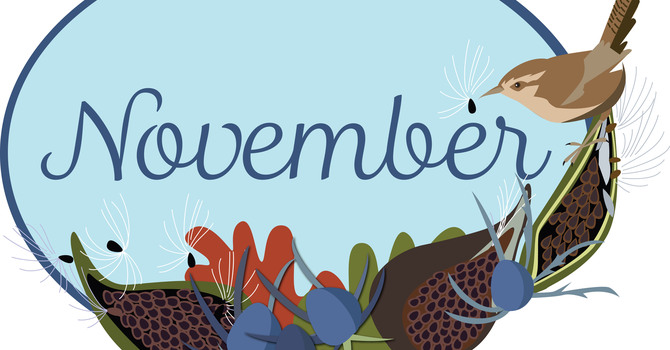 November 2025 Newsletter  image