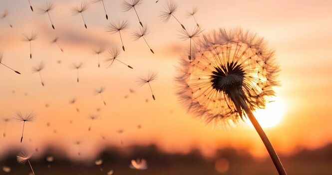 Being a good servant of the Gospel!