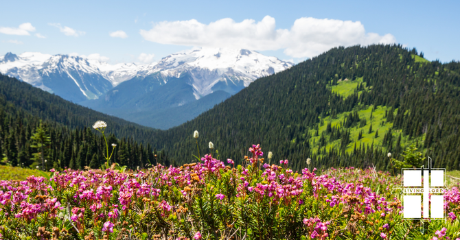 Daily Devotion for November 2, 2025 image