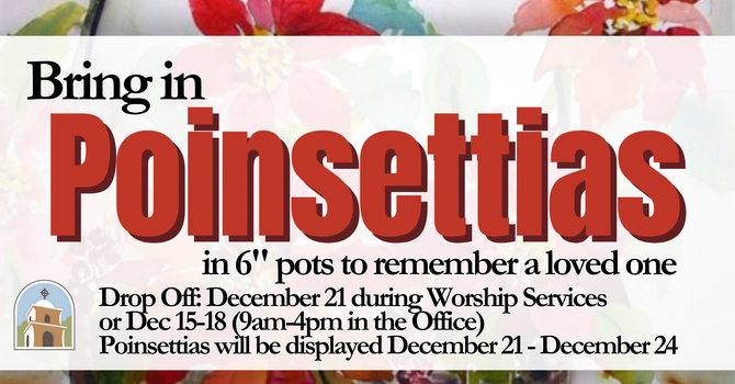  Poinsettias in Remembrance image