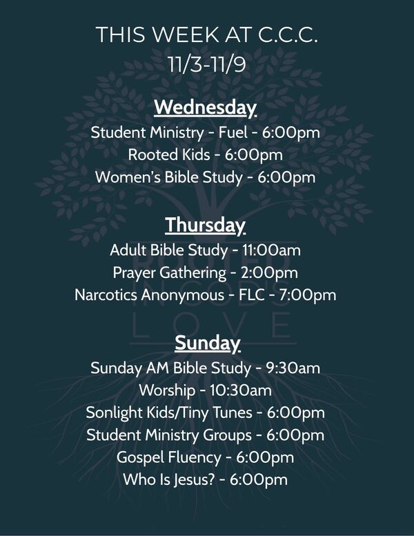 This Week's Schedule