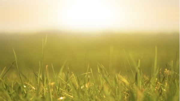 Concert of the Brahms German Requiem