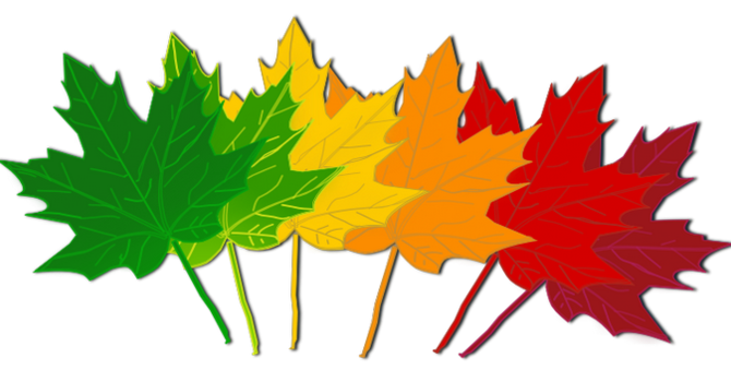 Pastor's Top 3 image