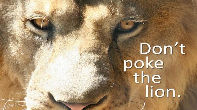 Don't Poke the Lion
