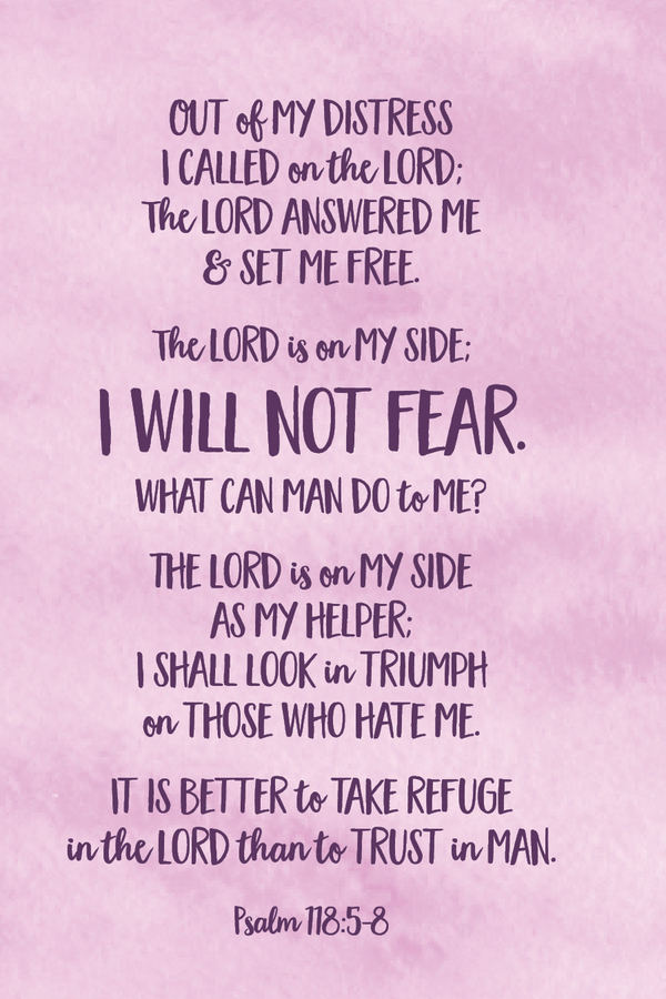 Fighter Verse | November 3, 2025