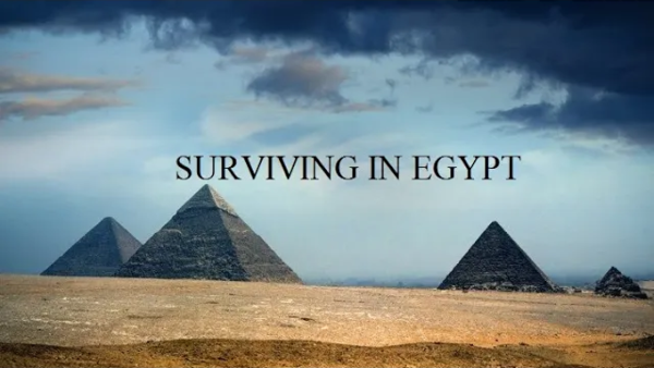 Surviving In Egypt