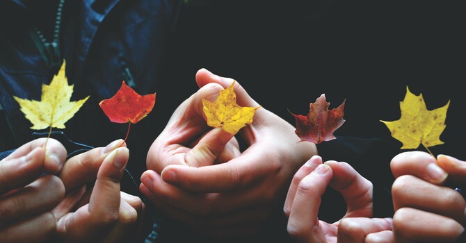 November Youth Newsletter image