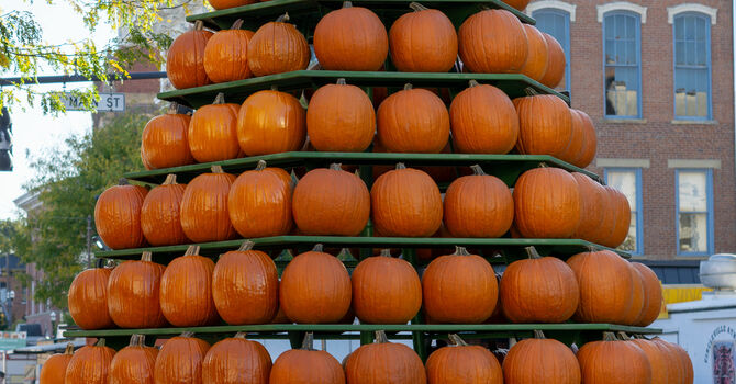 Postponed - September Ladies Gathering Paint Party image