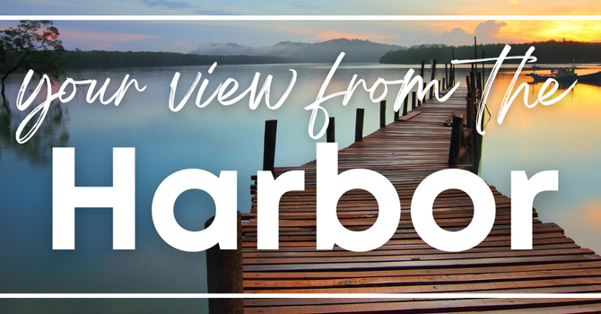 November 2025 newsletters