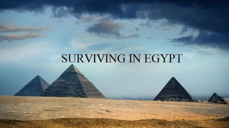 Surviving In Egypt