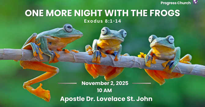 One More Night With The Frogs